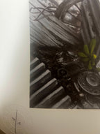 PEZ, Green Hands (2025) L.Y.N.A.R.T Store