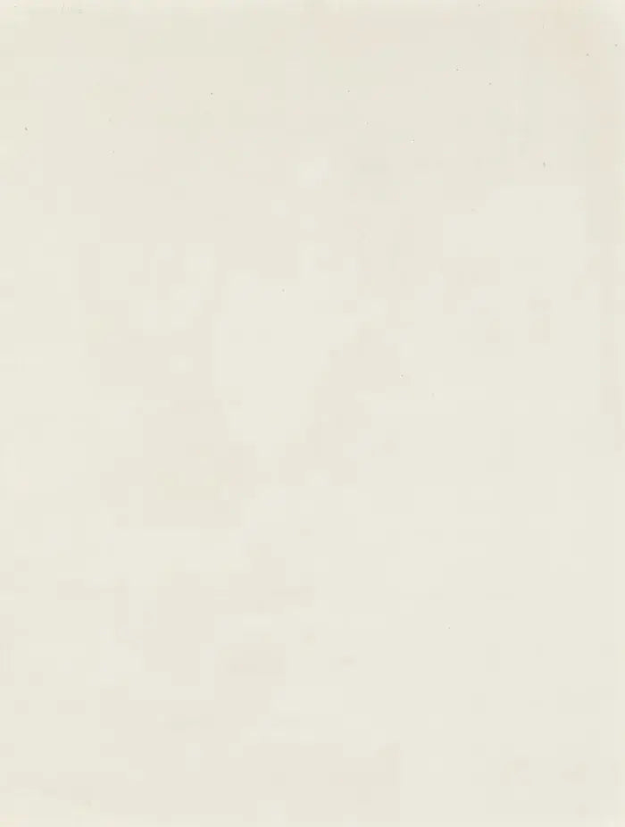 Pablo Picasso, Mère et Enfant (1966) LYNART STORE