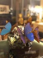 Philippe Pasqua - Vanité aux papillons LYNART STORE