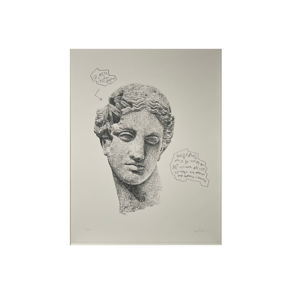 Daniel Arsham -  Eroded Classical Print - Melpomene