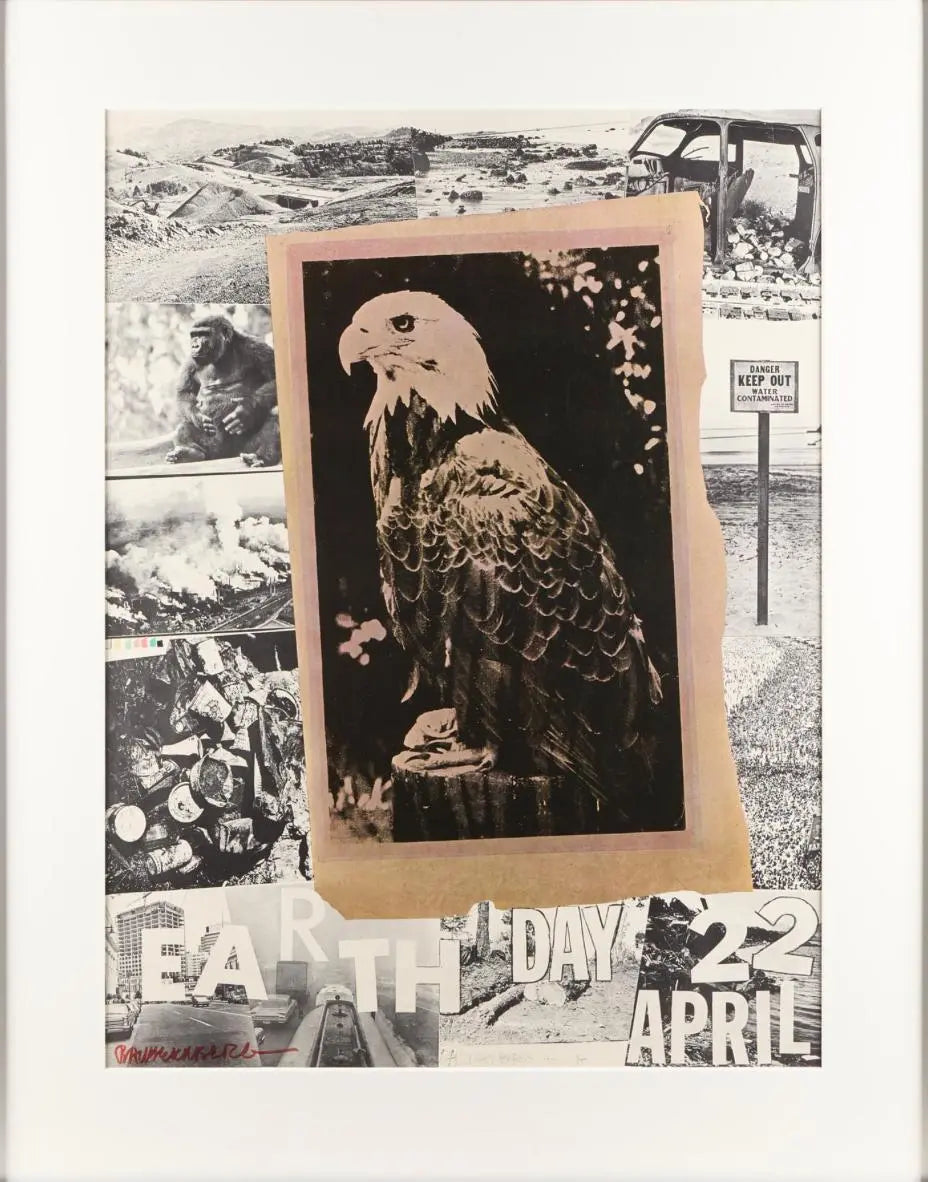 Robert Rauschenberg -  Earth Day (1970) LYNART STORE