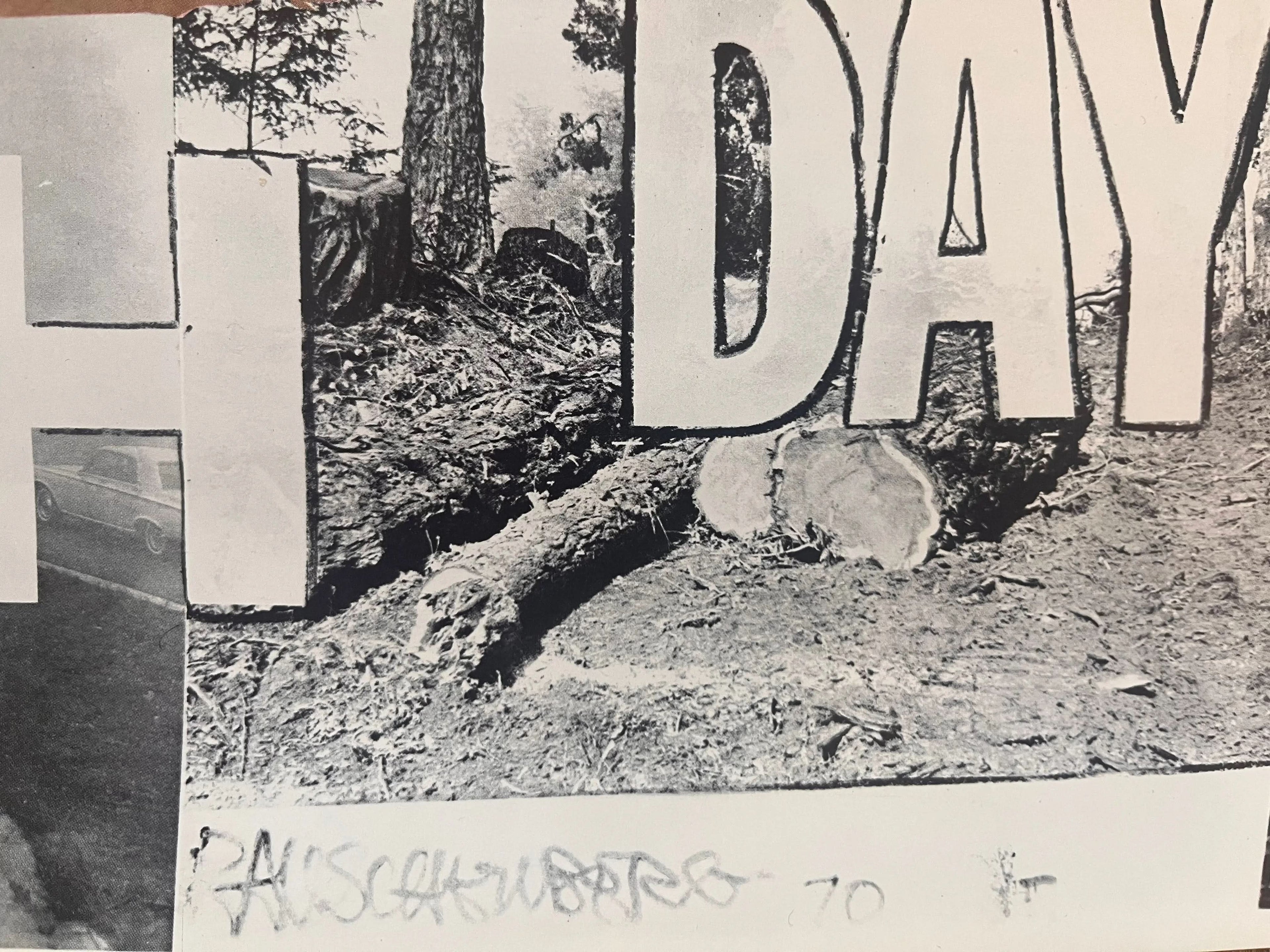 Robert Rauschenberg,  Earth Day, 1970 LYNART STORE