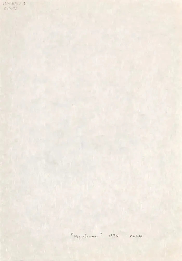 Salvador Dali,Le Triomphe – La Parade – L’Adoration – Hippofemme (from Femmes et chevaux) 1973 LYNART STORE