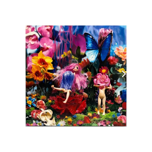 Tetsutaro Kamatani - Human Paradise: Happy Paradise II-22 LYNART STORE