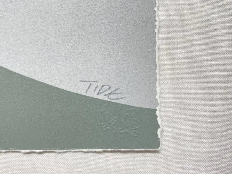 Tide, Angry Cat (2020) LYNART STORE