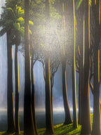 Tomás Sánchez, Cascada como ícono ( 2025) L.Y.N.A.R.T Store