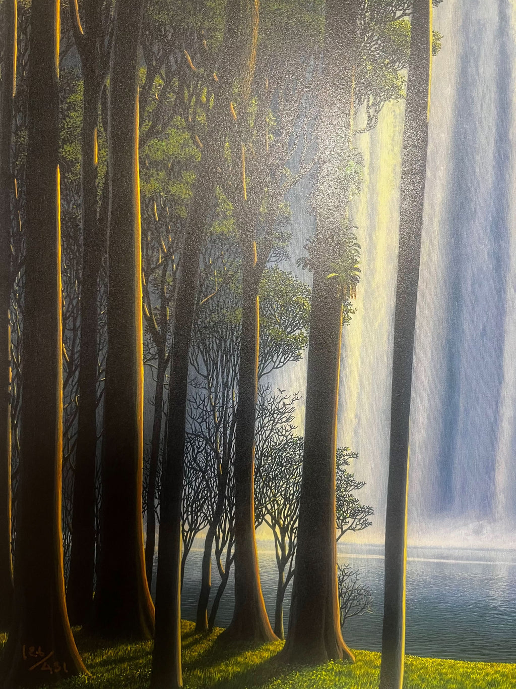 Tomás Sánchez, Cascada como ícono ( 2025) L.Y.N.A.R.T Store