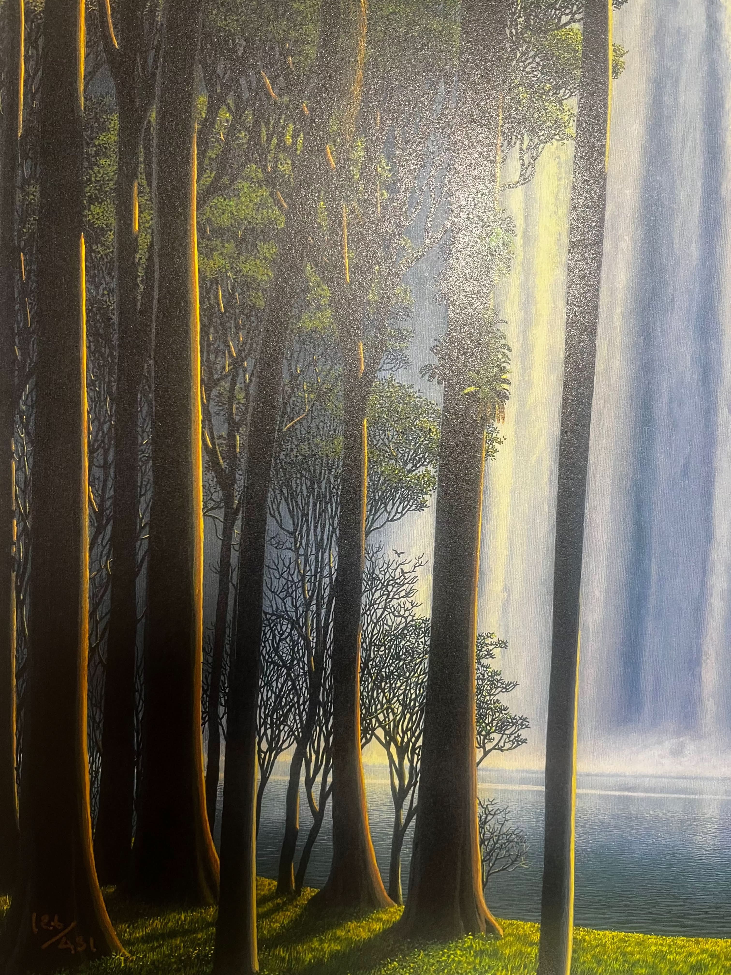 Tomás Sánchez, Cascada como ícono ( 2025) L.Y.N.A.R.T Store