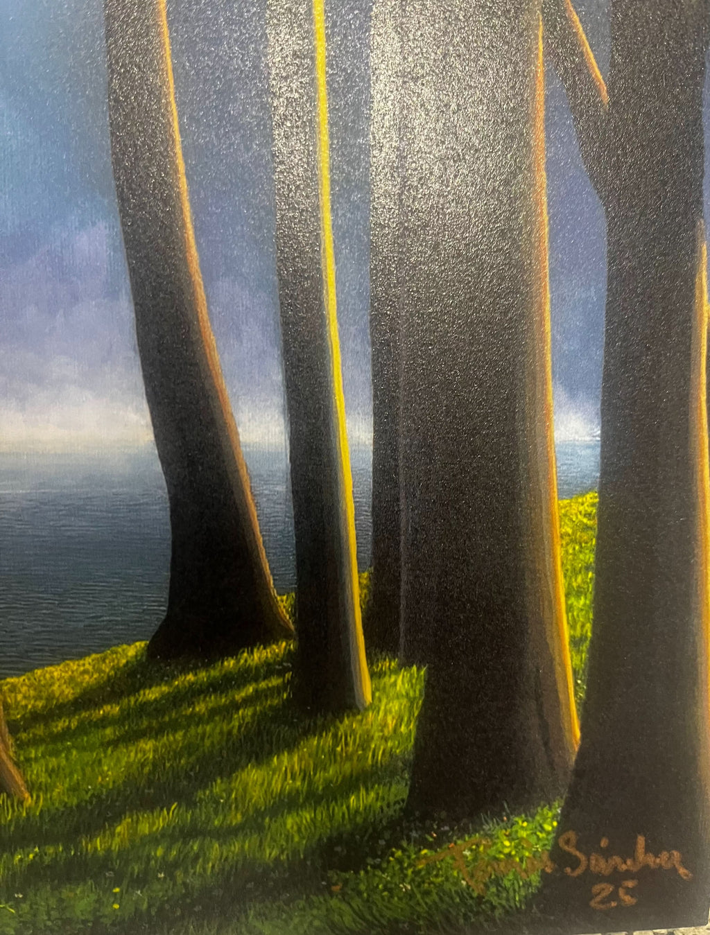 Tomás Sánchez, Cascada como ícono ( 2025) L.Y.N.A.R.T Store