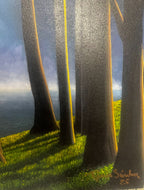 Tomás Sánchez, Cascada como ícono ( 2025) L.Y.N.A.R.T Store