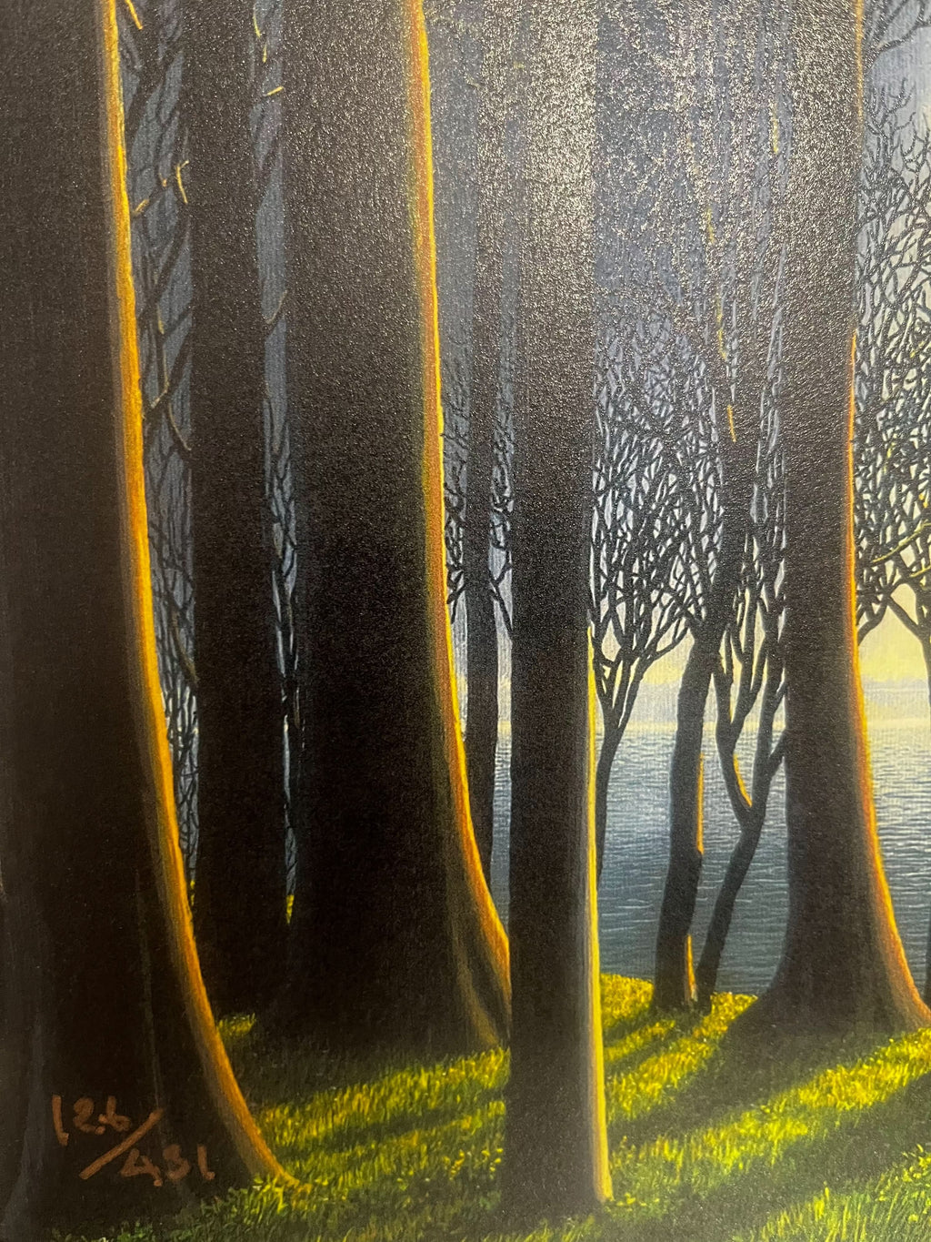 Tomás Sánchez, Cascada como ícono ( 2025) L.Y.N.A.R.T Store