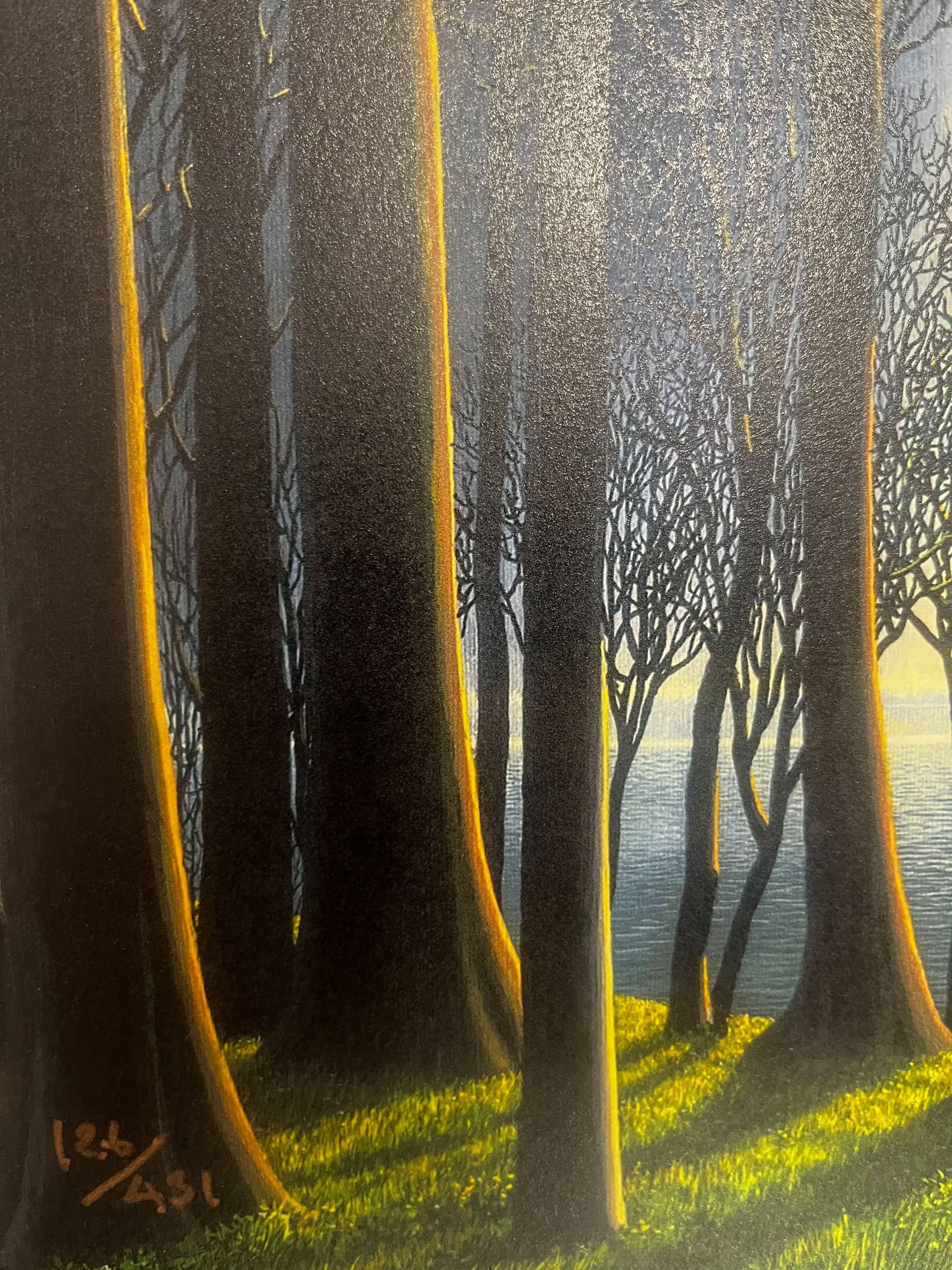 Tomás Sánchez, Cascada como ícono ( 2025) L.Y.N.A.R.T Store