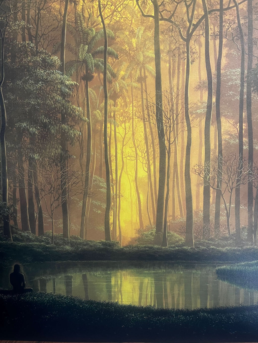 Tomás Sánchez, El testigo ( 2025) L.Y.N.A.R.T Store