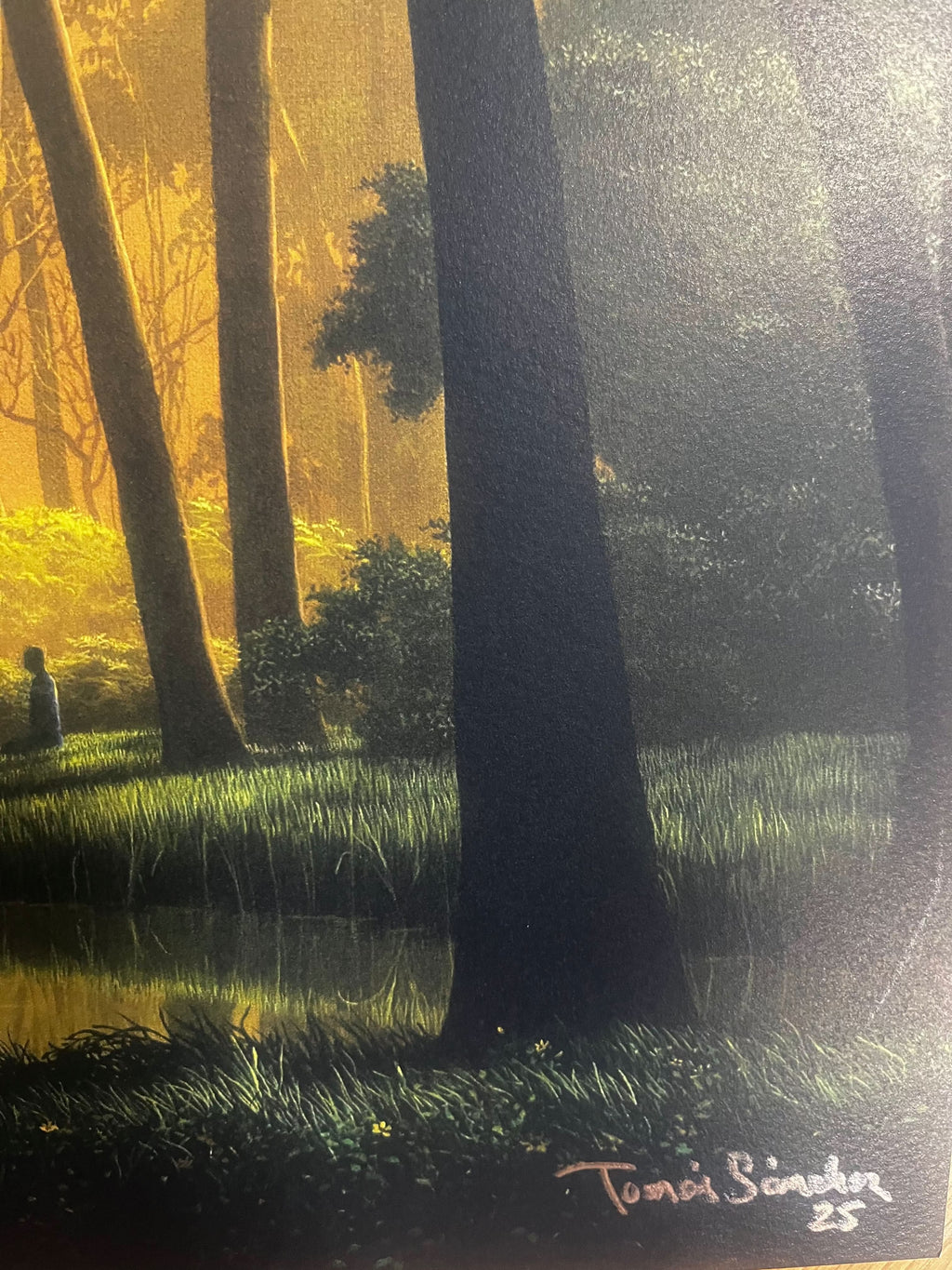 Tomás Sánchez, El testigo ( 2025) L.Y.N.A.R.T Store