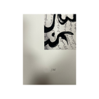 Neshat Shirin - Untitled (Chest) — from Unveiling series