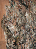 Lucian Freud , Self-Portrait, Reflection 2002 — authorised Estate edition
