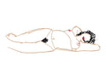 Tom Wesselmann Hedy Sandpaper 1985 enamel on cut out steel Pop Art
