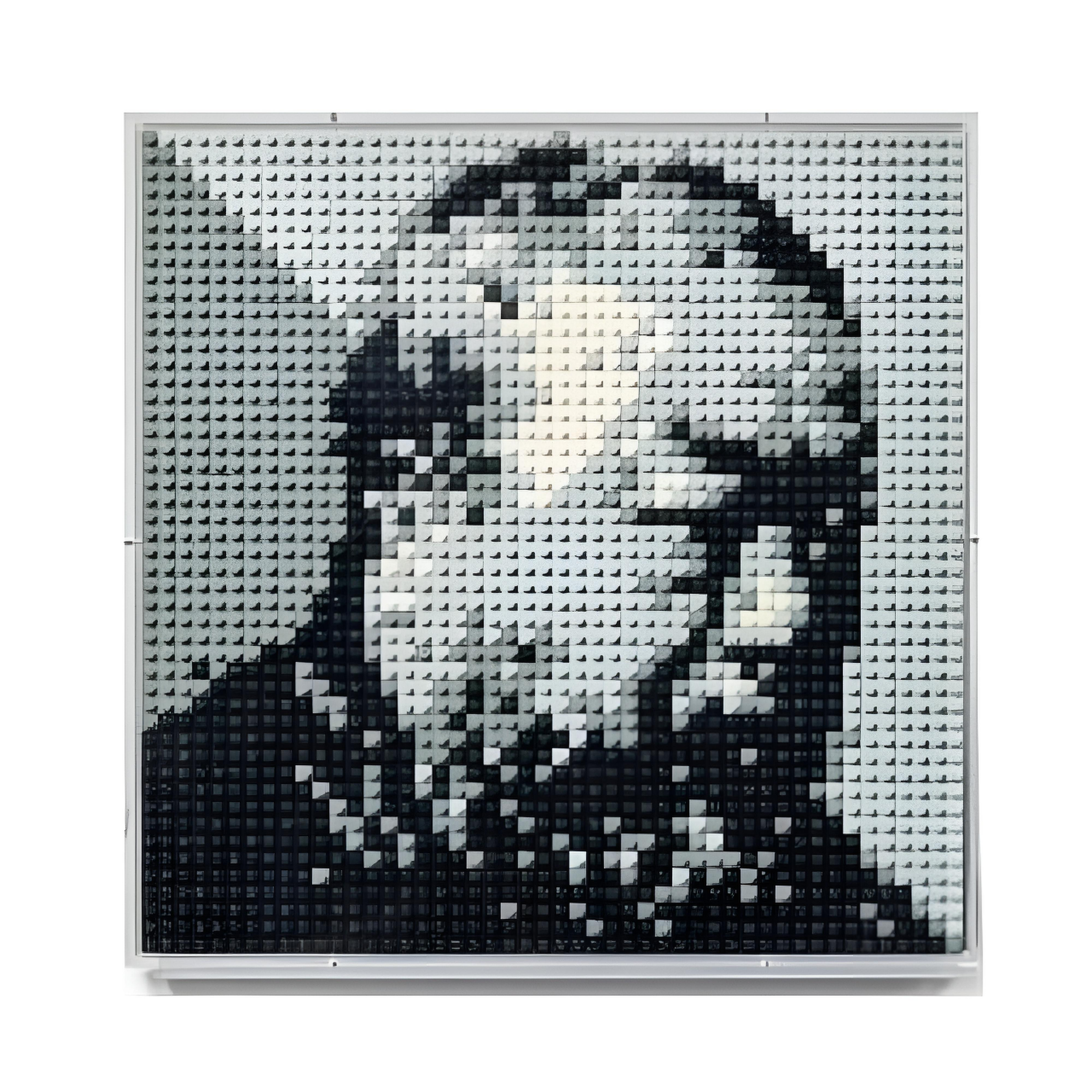 Ai Weiwei - Single Panel Portrait of Ai Weiwei (2014)